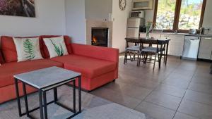 ソスノフカにあるDom uKromki z kominkiem i widokiem na Śnieżkęの赤いソファとキッチンのあるリビングルーム