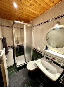 Koupelna v ubytování Pied de piste et à 5min des Bains d'Hérémence