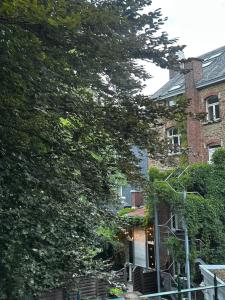 a large brick building with a tree in front of it at La villa Chatorya in Spa