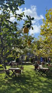 eine Gruppe von Picknicktischen und Bänken in einem Park in der Unterkunft Navy Inn & Bungalows in Arnavutköy