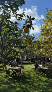 ArnavutköyNavy Inn的公园里的一组野餐桌和长凳 更多174张照片