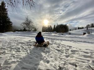 Apart Montana v zimě