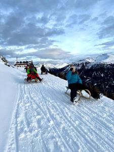 Apart Montana v zimě + 14 fotografií