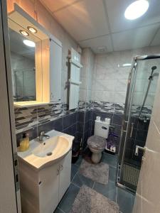 a bathroom with a sink and a shower and a toilet at studio apartman elegant in Vrnjci