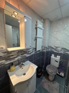 a bathroom with a sink and a toilet and a mirror at studio apartman elegant in Vrnjci +26 photos