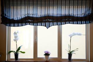Fotografie z fotogalerie ubytování Albergo Da Benedetta v destinaci Vetralla