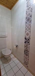 a bathroom with a toilet and a shower at Narcisse 15 in Champoussin