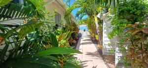 a path through a garden with palm trees and plants at Bungalow accueillant à Bouillante avec piscine privée in Mathurin Noël