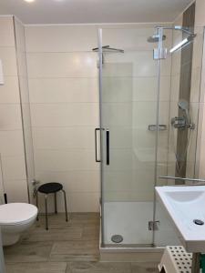 a bathroom with a shower and a toilet and a sink at Wohnung 70 in Horumersiel