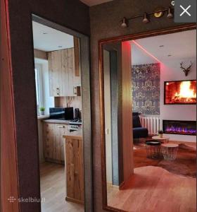 Η κουζίνα ή μικρή κουζίνα στο Žalgirio 1buto apartamentai