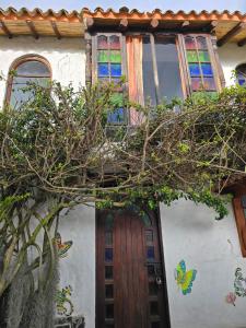 a house with a tree with butterflies on it at Hospedaje Casa Arte con Aroma de café in Duitama +7 photos