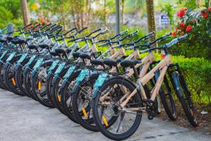 une rangée de vélos garés l'un à côté de l'autre dans l'établissement Tam Coc Little Charm Villa & Bungalow, à Văn Lâm