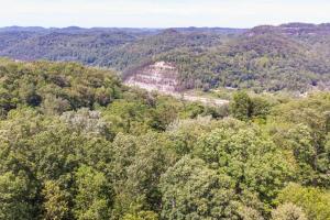 an aerial view of a forest with a road in the distance at Gorgeous View Cabin - in Red River Gorge KY in Slade