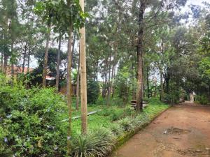 Κήπος έξω από το Residential Home with Nature +9 φωτογραφίες