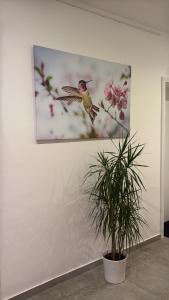 a painting of a humming bird flying above a plant at Schönes Zimmer-1 in Stuttgart-Mitte in Stuttgart