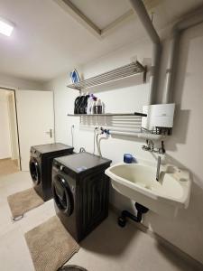 a bathroom with a washing machine and a sink at Charming family villa in Geneva +53 photos