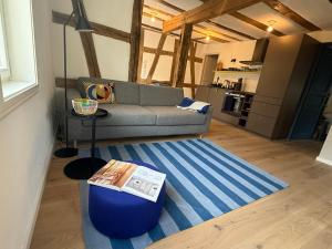 a living room with a couch and a table at Zur Traube - blau in Erbach im Odenwald +7 photos