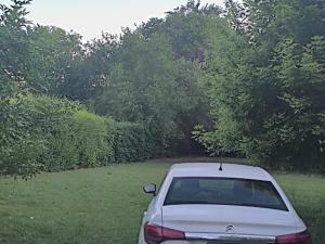 サンタ・ロサ・デ・カラムチタにあるLa Casa de Elisaの木々のある野原に駐車された銀色の車