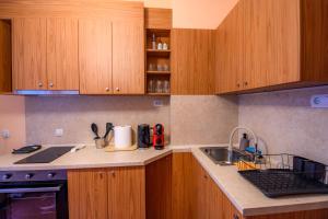 Kuchyň nebo kuchyňský kout v ubytování Cozy Central Apartment By NDK and Vitosha Blvd with Free secured parking and two terraces + 20 fotografií