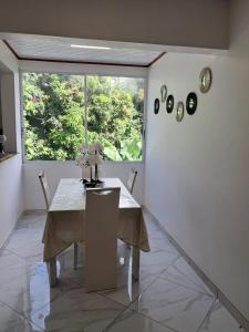 Fotografie z fotogalerie ubytování La villa aux 4 palmiers v destinaci Le Lamentin