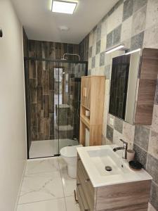 een badkamer met een wastafel, een toilet en een douche bij La Panurama in Prayssac