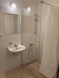 a bathroom with a shower and a sink and a shower curtain at Sport centrum na hřišti in Golčŭv Jeníkov