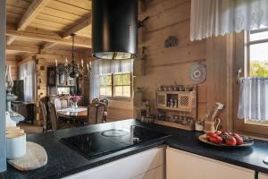 Kuchyň nebo kuchyňský kout v ubytování Chata u Flisaków + 12 fotografií