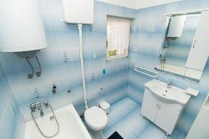 a blue bathroom with a toilet and a sink at Apartments Holiday Žaborić in Zaboric