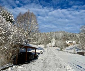 Το Ferienhaus Robin τον χειμώνα