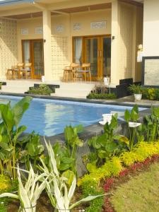 Bazén v ubytování Bagus ayu Lovina homestay nebo v jeho okolí