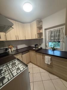 Η κουζίνα ή μικρή κουζίνα στο Kitti Kuckója