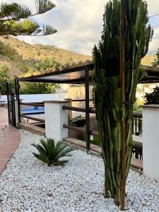 Příroda nedaleko prázdninového domu