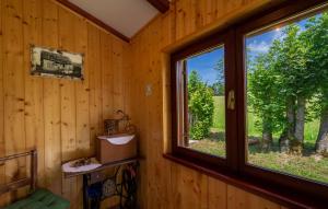 a room with a window in a log cabin at Gorgeous Home In Ravna Gora With Wifi in Ravna Gora
