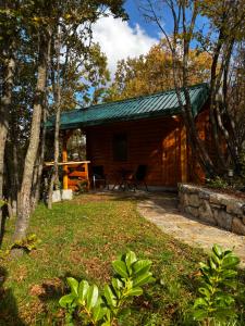 a log cabin with a green roof in the woods at Brvnara Toma in Cetinje