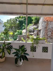 une pièce avec des plantes en pot et une grande fenêtre dans l'établissement Mango Tree, à Vung Tau