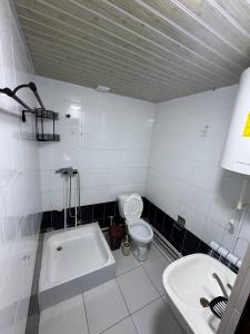 une salle de bain avec une baignoire, des toilettes et un lavabo dans l'établissement Amiriy hostel, à Boukhara 9 autres photos