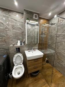Koupelna v ubytování Urban Brana Apartment