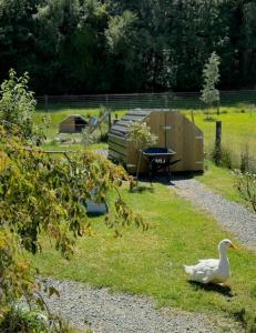 a duck sitting in the grass next to a tent at Athol Country Bed and Breakfast in Athol
