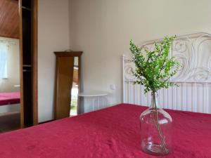 een vaas met bloemen erin zittend op een tafel bij Sobreiros' Studio - Gerês in Terras de Bouro +10 foto's