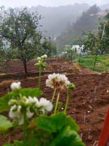 Příroda nedaleko ubytování v soukromí