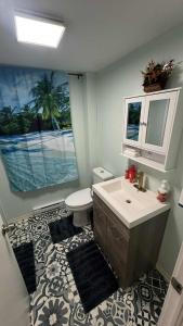 Un baño con lavabo, inodoro y ventana. en Cozy 2-bedroom Downtown Apartment Campbellton Walk to Cafés & Shops, en Campbellton 29 fotos más