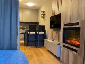 Kuchyň nebo kuchyňský kout v ubytování Studio apartman Mia