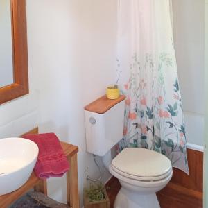 a bathroom with a toilet and a shower curtain at Cabaña entre molles in Punta Indio