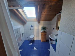 un baño con inodoro y lavabo en Patrizer Haus in Bergbauerndorf, en Cazis