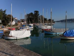 a bunch of boats are docked in the water at Rêve et Rance in La Richardais +7 photos