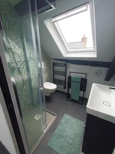 a bathroom with a shower and a sink and a skylight at Rêve et Rance in La Richardais