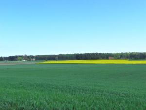 un campo de césped verde con árboles en el fondo en Awesome Home In Löderup With Two Bedrooms And Wifi, en Sandby 1 foto más