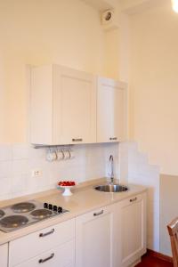 Kuchyň nebo kuchyňský kout v ubytování Salus