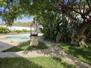 a stone walkway next to a tree and a swimming pool at Gardel Esencia in Icod de los Vinos