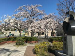 a park with trees with white flowers on them at YabFarm Lodge 101 in Kashiwa